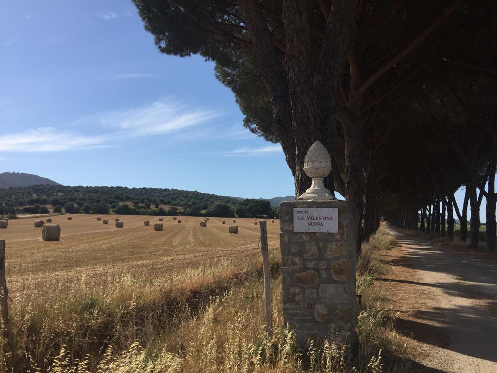 Agriturismo La Valentina Nuova Таламоне Экстерьер фото
